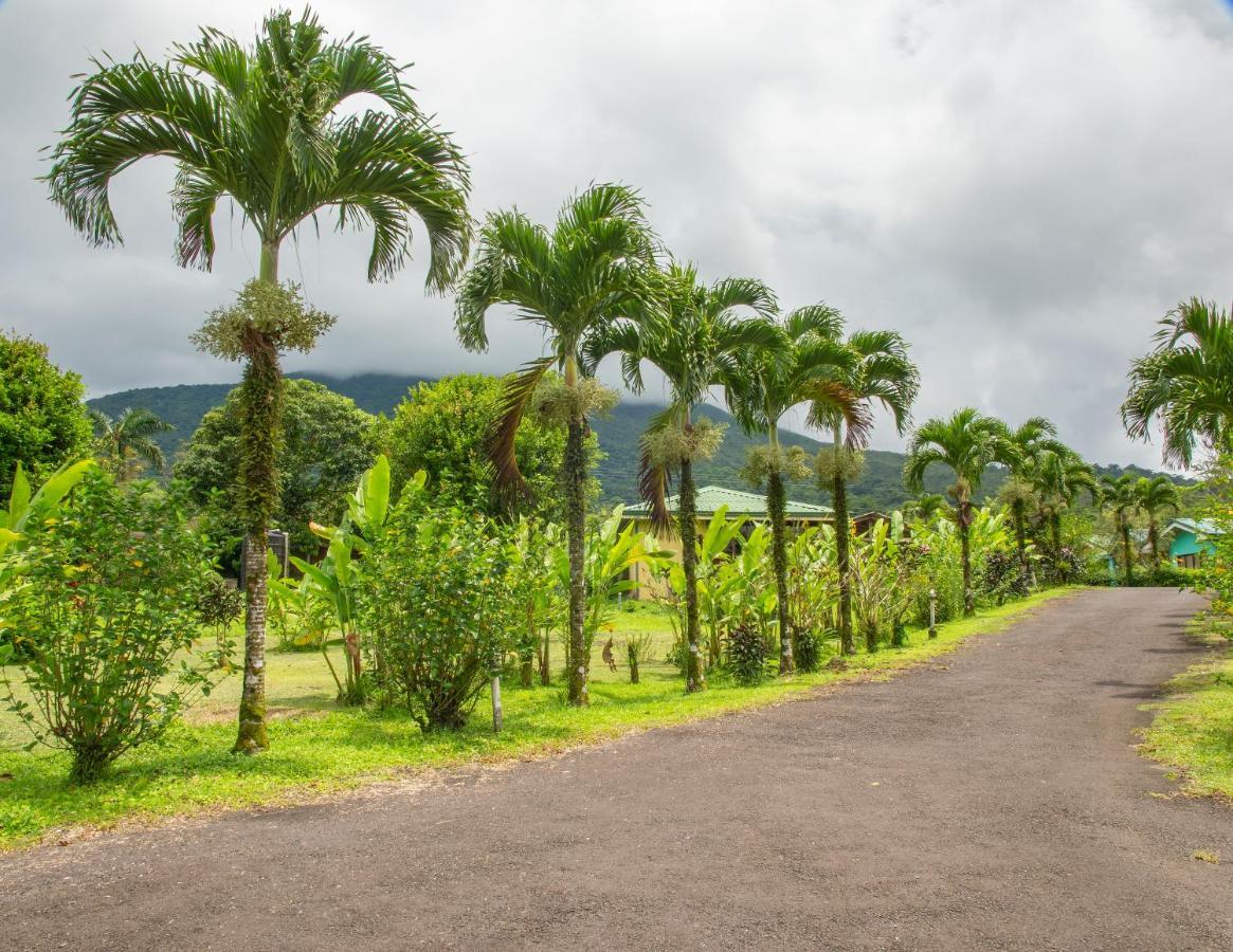 Hotel & Hot Springs Sueno Dorado La Fortuna ภายนอก รูปภาพ